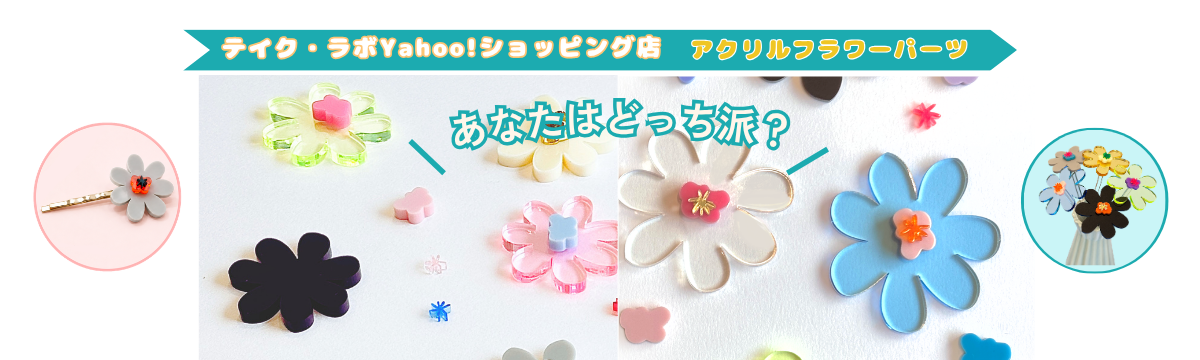 【レギュラーサイズ VS ミニサイズ】 あなたはどっち派❓✨